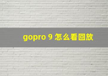 gopro 9 怎么看回放